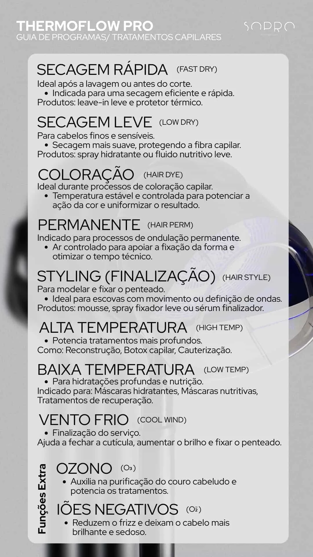 Guia de programas ThermoFlow Pro
